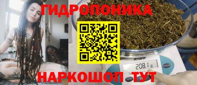 ECSTASY Шелехов