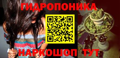 гидропоника Шахты