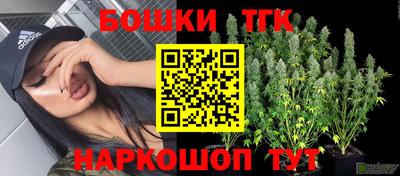 гидропоника Шахты